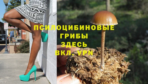стаф Алексеевка