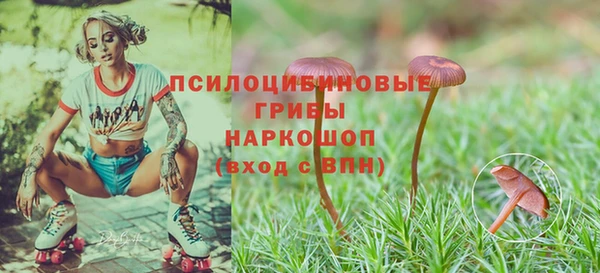 метадон Алексин
