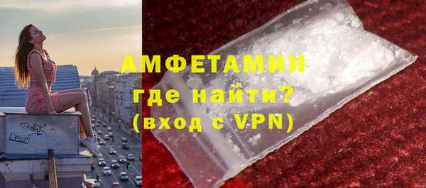 метадон Алексин