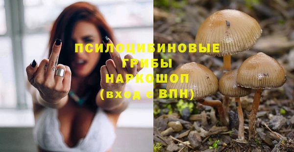 метадон Алексин