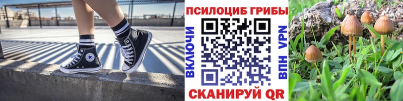 как найти наркотики  Пушкино  Галлюциногенные грибы ЛСД 